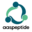 Home logo